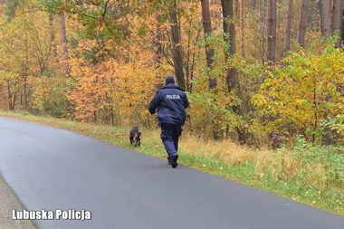 Poszukiwania 56-latka z Kosierza. W akcji drony i psy tropiące
