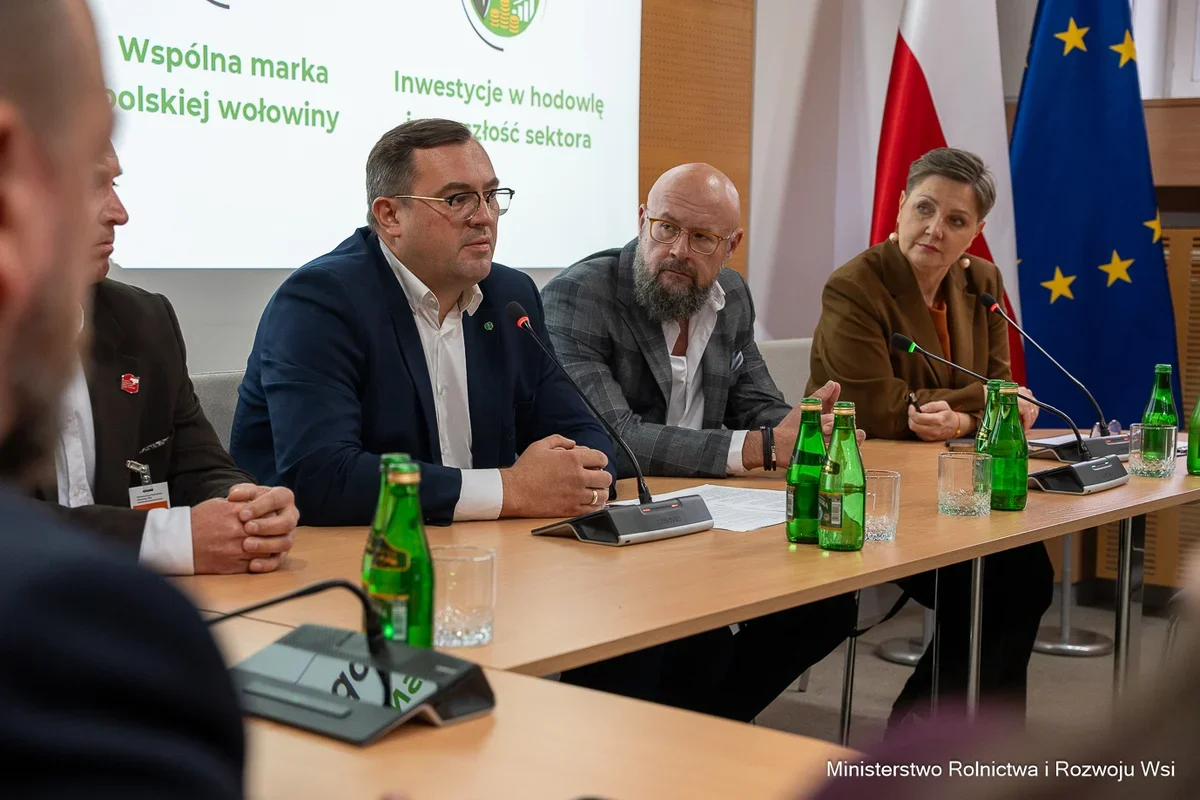 Uczestnicy konferencji prasowej dotyczącej polskiej wołowiny siedzą przy stole z mikrofonami w siedzibie Ministerstwa Rolnictwa i Rozwoju Wsi.