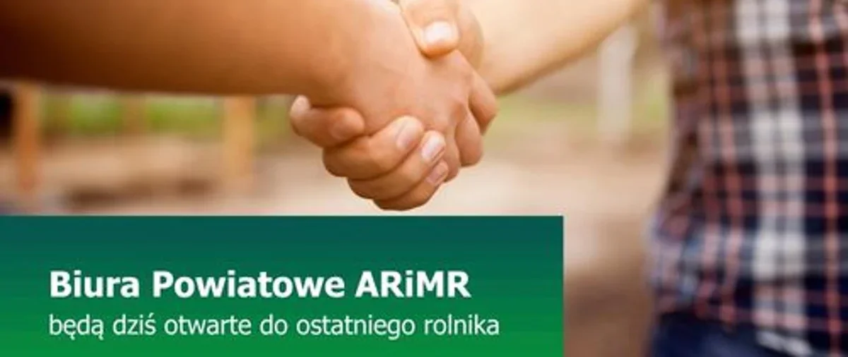 Dwoje ludzi, z których widać fragmenty ubrań i splecione dłonie, stoi na rozmytym tle zewnętrznym.