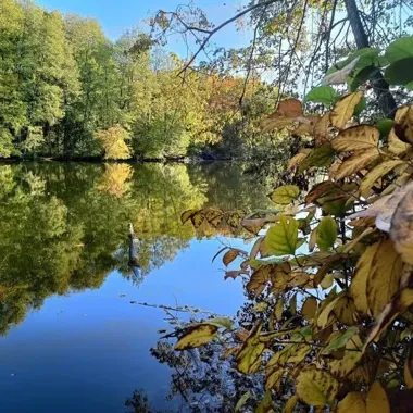 Spokojne jezioro otoczone lasem w barwach jesieni, z odbiciem drzew i nieba w wodzie.